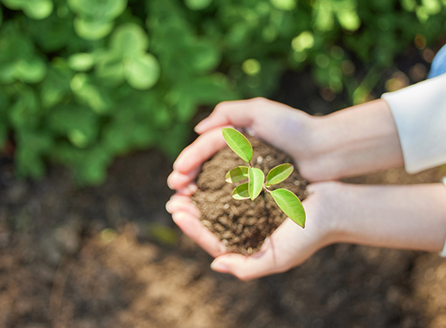 ss3333盛世集团(中国区) - 官方网站