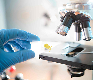 ss3333盛世集团(中国区) - 官方网站